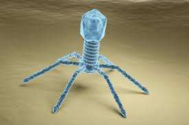 Extermination of Viruses