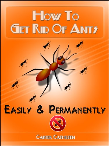 القضاء نهائيا على النمل